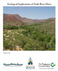Verde Flows report cover